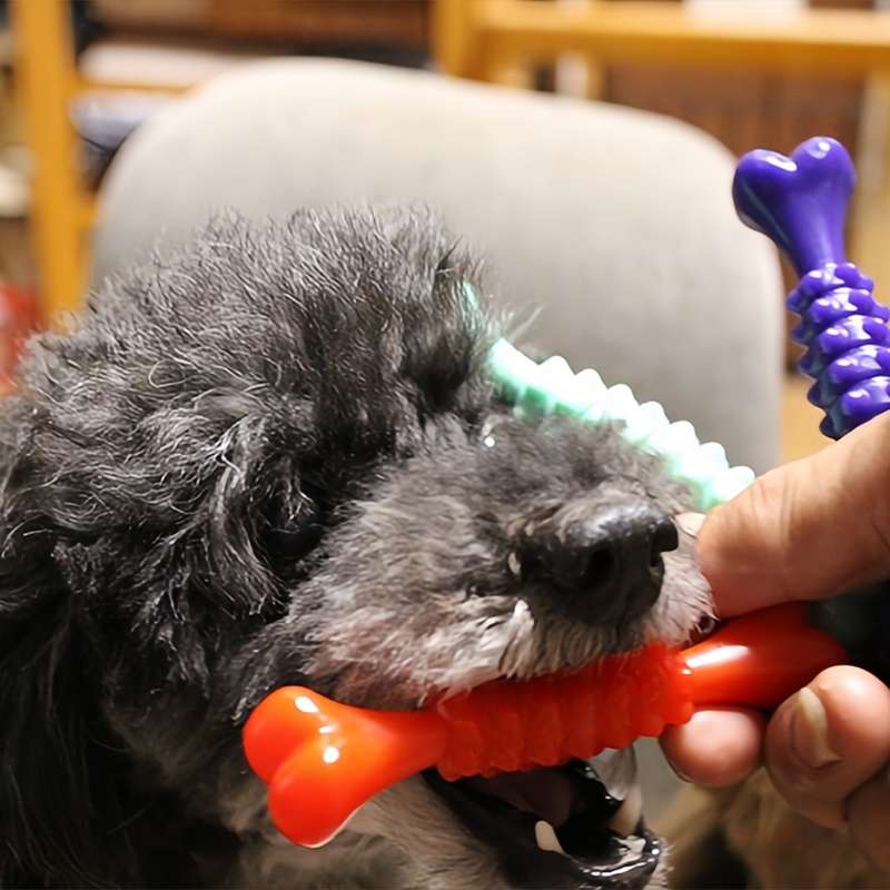 犬 おもちゃ 骨 | 犬 歯磨き おもちゃ | デンタルケアもできる小型・中型犬用丈夫な噛み噛みおもちゃ