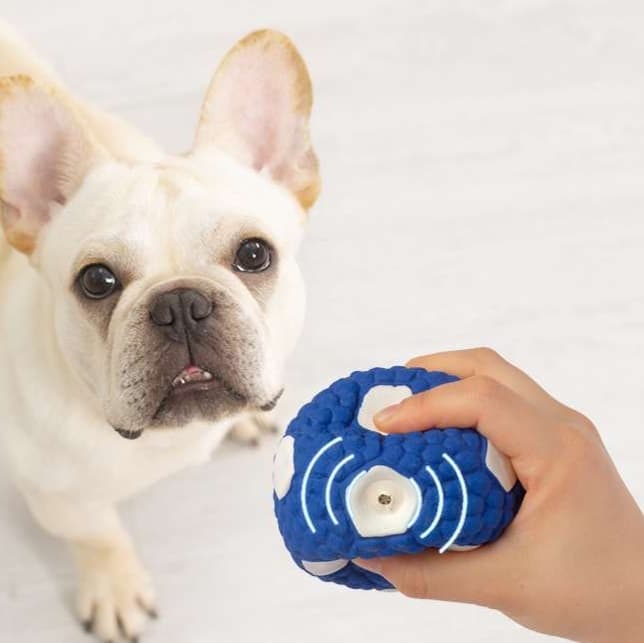 犬 おもちゃ ボール | ワンちゃん喜ぶスポーツボールセット