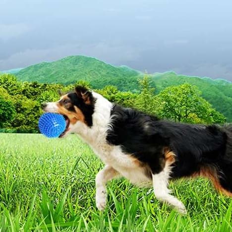 犬 おもちゃ 歯磨き | 歯磨き用スパイキーボール