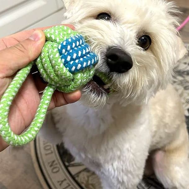 犬 おもちゃ ロープ | 犬用デンタルロープおもちゃセット