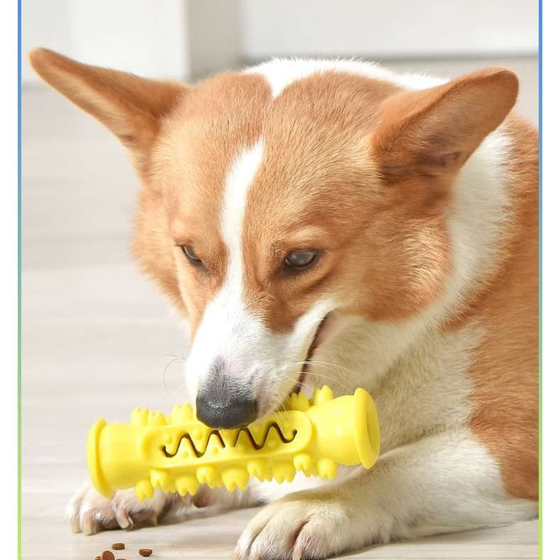犬 おもちゃ 歯磨き | わんちゃんの歯磨きガムおもちゃ