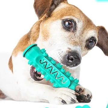 犬 おもちゃ 歯磨き | わんちゃんの歯磨きチューイングトイ