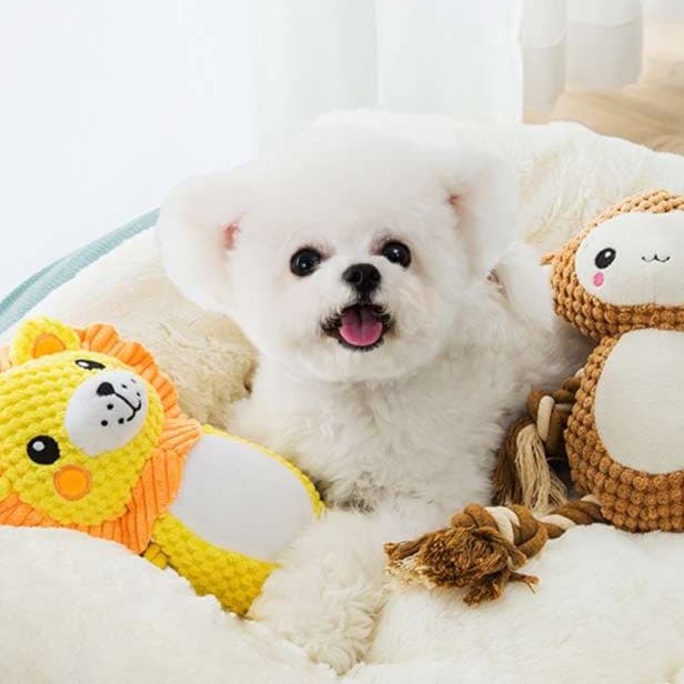 犬 おもちゃ ぬいぐるみ | わんちゃん大喜び!歯磨きぬいぐるみ
