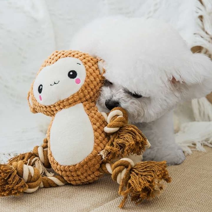 犬 おもちゃ ぬいぐるみ | わんちゃん大喜び!歯磨きぬいぐるみ