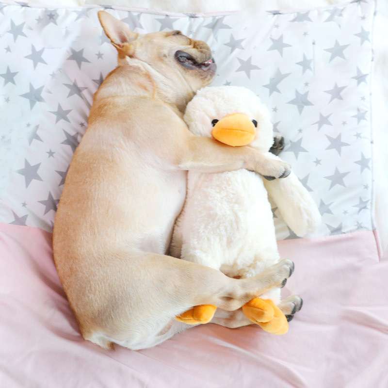 犬 おもちゃ ぬいぐるみ | ふわふわアヒルのお友達ぬいぐるみ