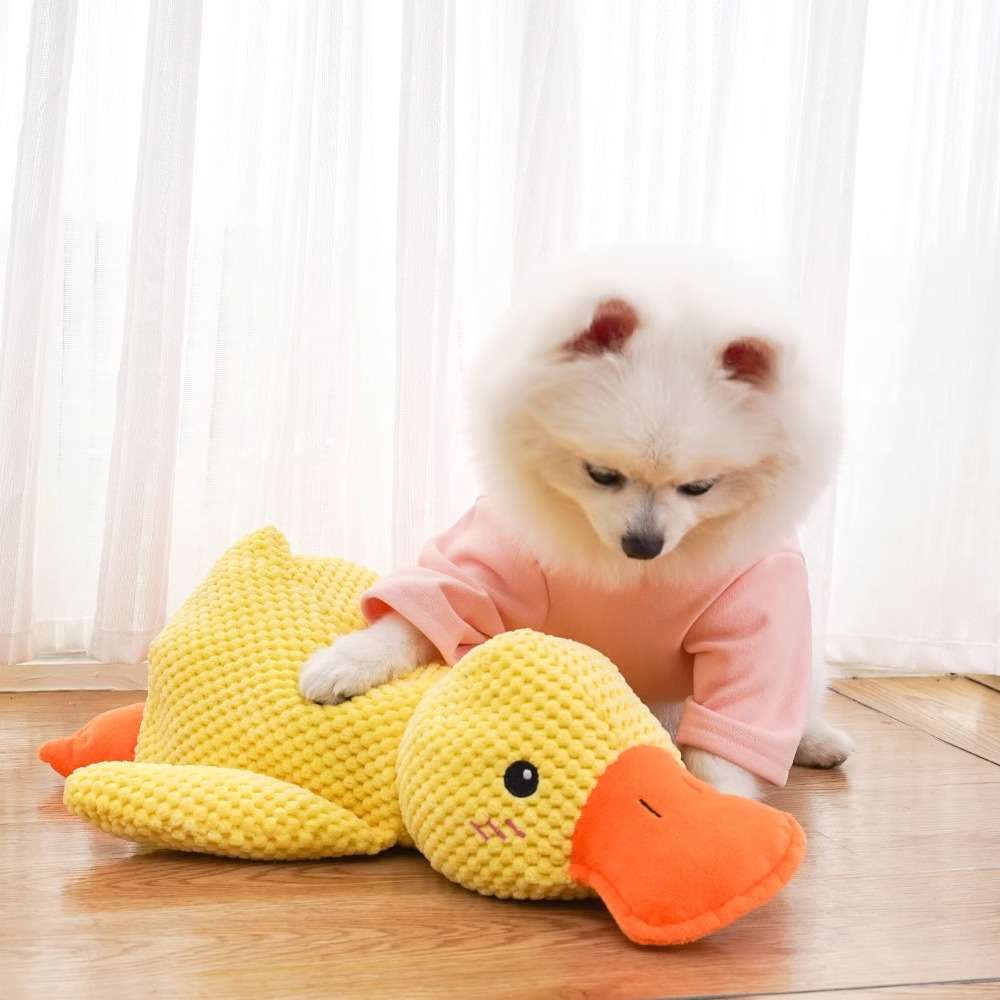 犬 おもちゃ ぬいぐるみ | もこもこアヒルさんぬいぐるみ