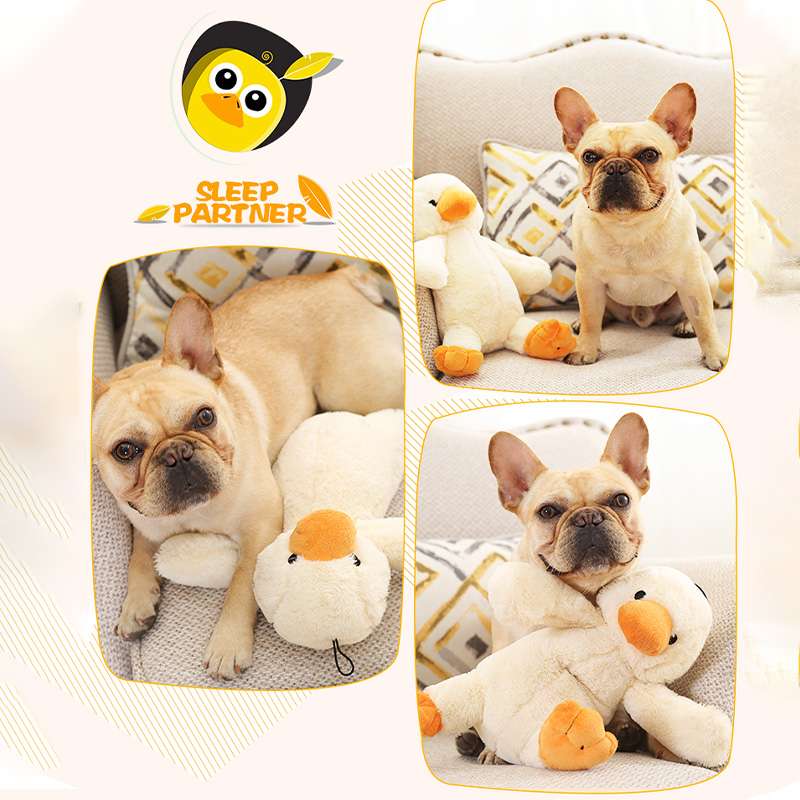 犬 おもちゃ ぬいぐるみ | わんちゃんの癒しパートナー アヒルのぬいぐるみ