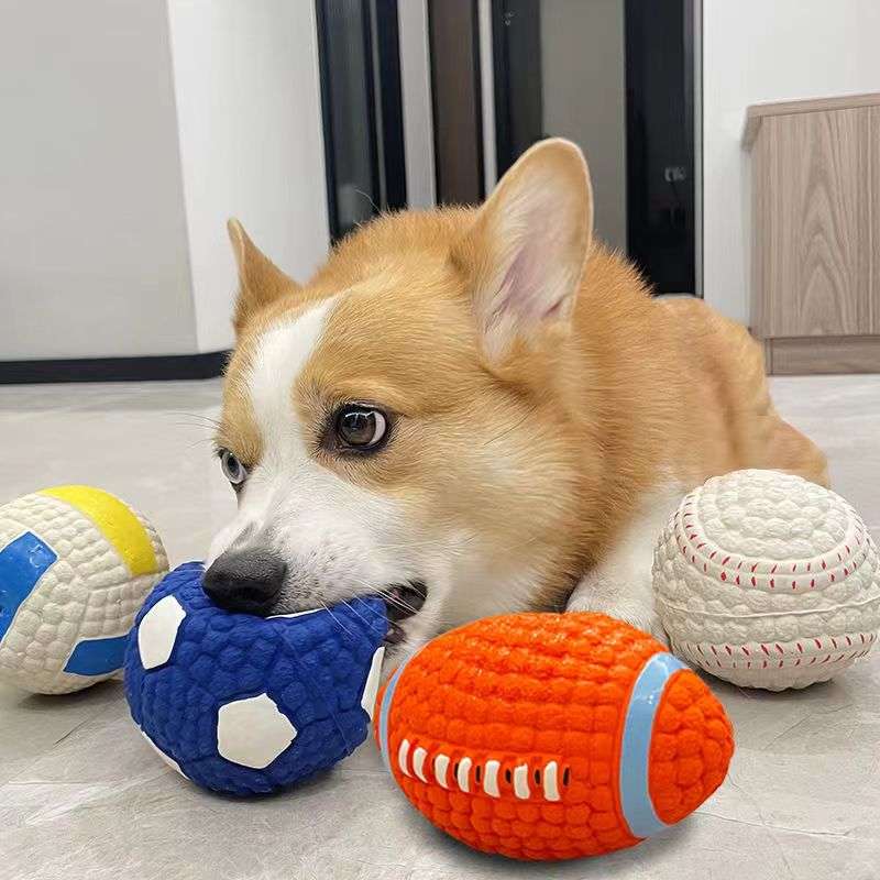 犬 おもちゃ ボール | ワンちゃん喜ぶスポーツボールセット