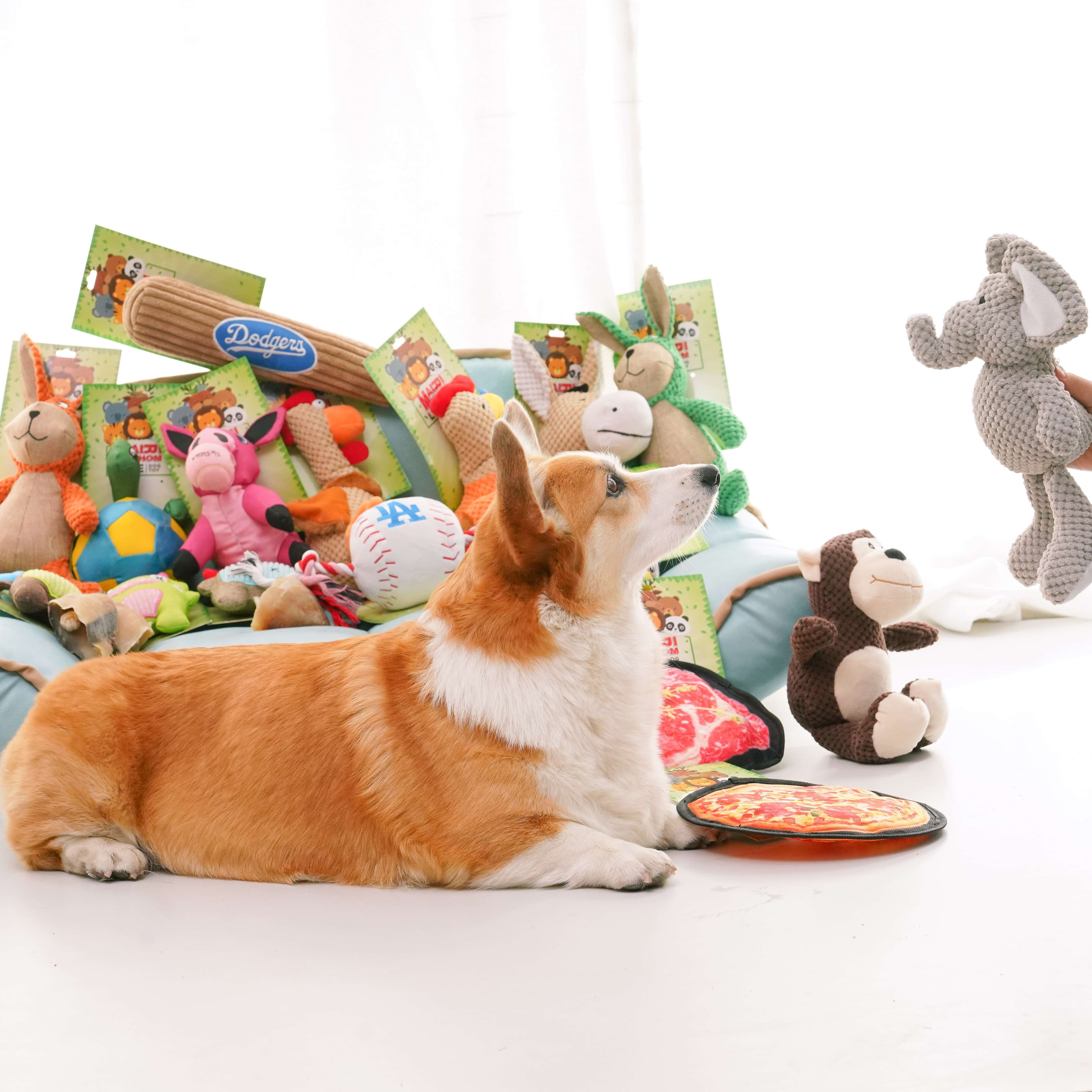 犬 おもちゃ ぬいぐるみ | もふもふうさぎのぬいぐるみ