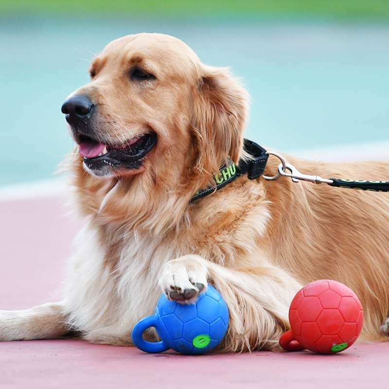 犬 おもちゃ ボール | 持ち手付き愛犬用ボール