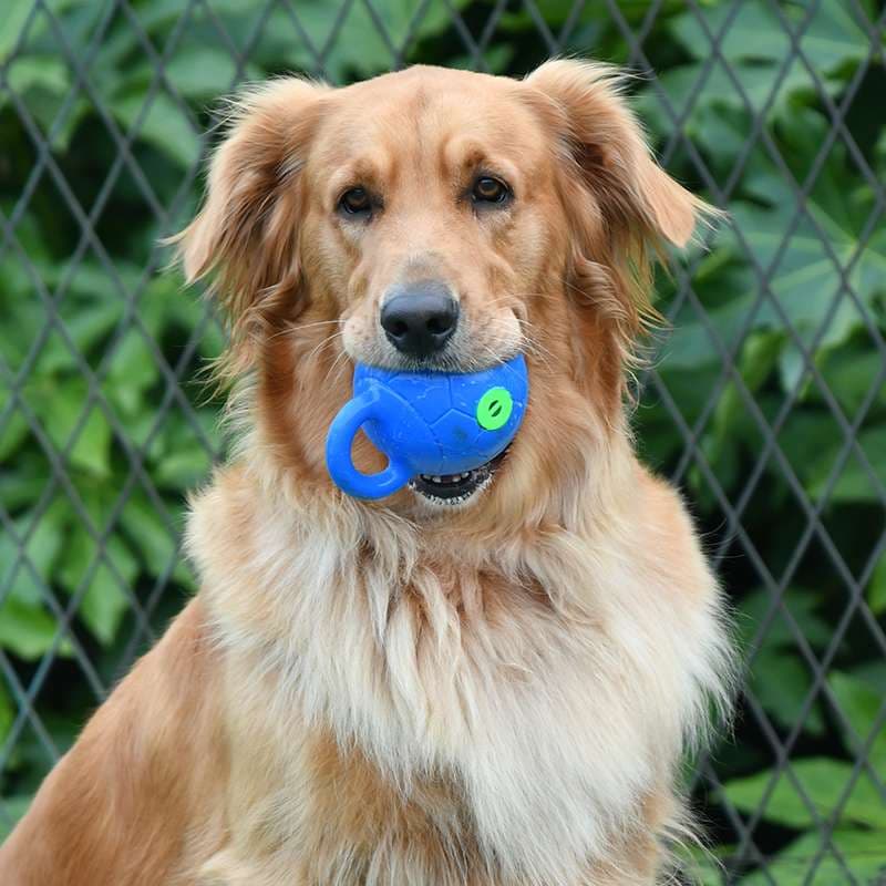 犬 おもちゃ ボール | 持ち手付き愛犬用ボール